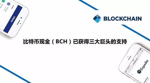 Bitcoin Cash（BCH）：解决比特币拥堵问题的数字货币新星