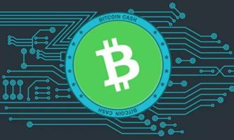 BCH起源与特性解析：比特币分叉的产物与扩容之争